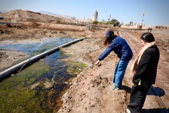 WhatsApp Image 2025-08-28 at 13.07.55 (1).jpeg